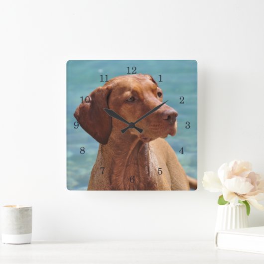 Magyar Vizsla Hund Quadratische Wanduhr (Zuhause)