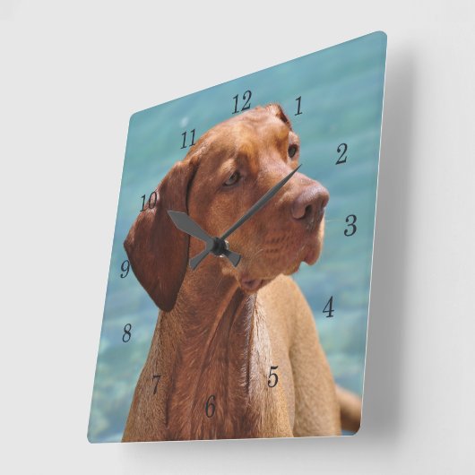 Magyar Vizsla Hund Quadratische Wanduhr (Winkel)