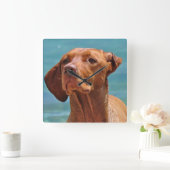Magyar Vizsla Hund Quadratische Wanduhr (Zuhause)