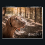 Magyar Vizsla Hunde Kalender<br><div class="desc">Magyar Vizsla Hunde Kalender</div>