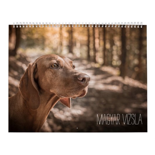 Magyar Vizsla Hunde Kalender (Titelbild)