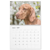 Magyar Vizsla Hunde Kalender (Mär 2027)