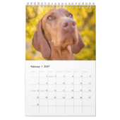 Magyar Vizsla Hunde Kalender (Feb 2027)