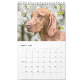 Magyar Vizsla Hunde Kalender (Mär 2027)