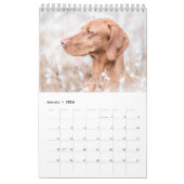 Magyar Vizsla Hunde Kalender (Jan 2026)