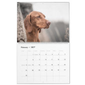 Magyar Vizsla Hunde Kalender (Feb 2027)