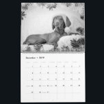 Magyar Vizsla Hunde Kalender black & white<br><div class="desc">Magyar Vizsla Hunde Kalender</div>