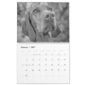 Magyar Vizsla Hunde Kalender black & white (Feb 2027)