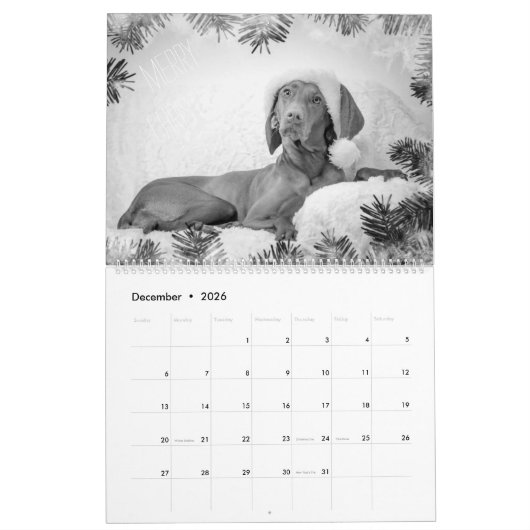 Magyar Vizsla Hunde Kalender black & white (Dez 2026)