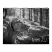 Magyar Vizsla Hunde Kalender black & white (Titelbild)