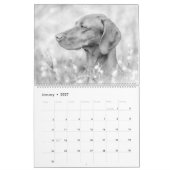 Magyar Vizsla Hunde Kalender black & white (Jan 2027)