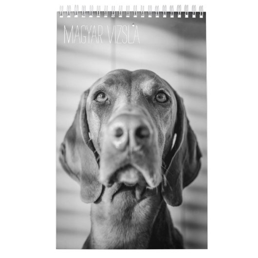 Magyar Vizsla Hunde Kalender black & white (Titelbild)