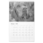 Magyar Vizsla Hunde Kalender black & white (Feb 2026)