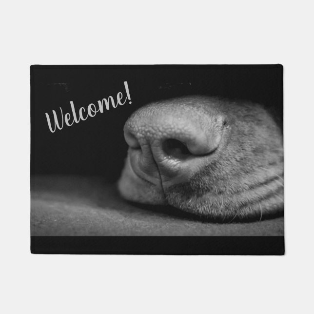 Magyar Vizsla Hunde Türmatte (Vorderseite)