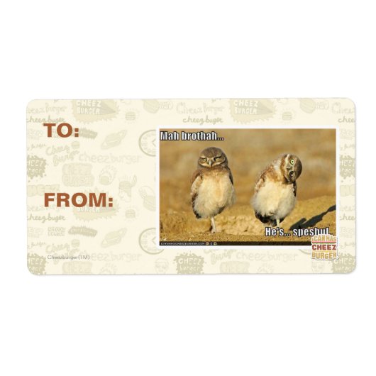 Mah Brothah (Vorne)