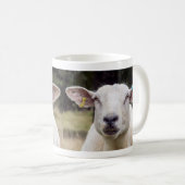 Mäh . .  kaffeetasse (VorderseiteRechts)