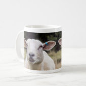 Mäh . .  kaffeetasse (Vorderseite Links)