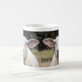 Mäh . .  kaffeetasse (Mittel)