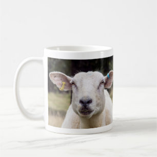 Mäh . .  kaffeetasse