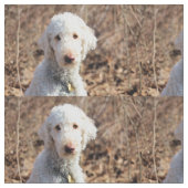 Mah Stoff (Nahaufnahme)