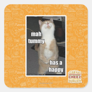Mah Tummy hat glücklich Quadratischer Aufkleber