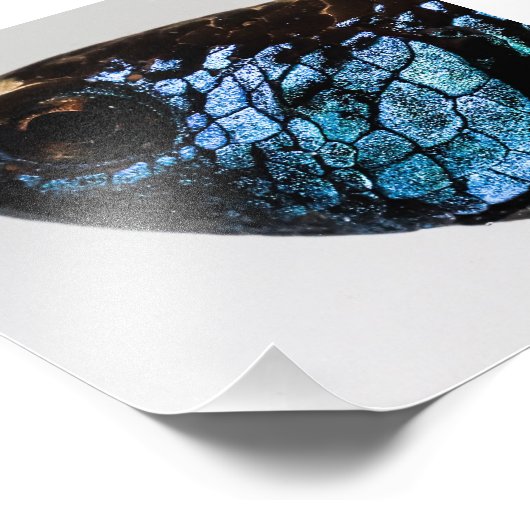 Mahachai Betta Fish Fotodruck (Ecke)