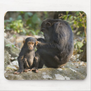 Mahale Berge Nationalpark, Tansania Mousepad