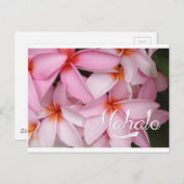 Mahalo Pink Plumeria Card Postkarte (Vorne/Hinten)