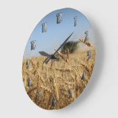 Mähdrescher auf dem Weizen-Gebiet Große Wanduhr (Winkel)