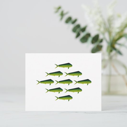 Mahi Mahi Fish - Dolphin - Dorado Postkarte (Stehend Vorderseite)