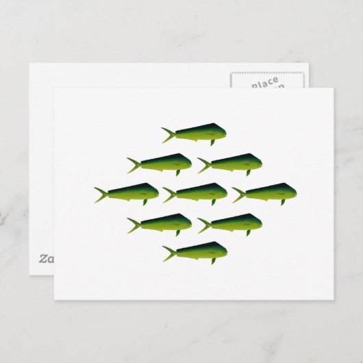Mahi Mahi Fish - Dolphin - Dorado Postkarte (Vorne/Hinten)