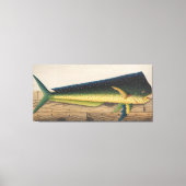 Mahi-Mahi Fish Kunstwerk Leinwanddruck (Vorderseite)