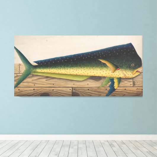 Mahi-Mahi Fish Kunstwerk Leinwanddruck (Insitu (Holzboden))