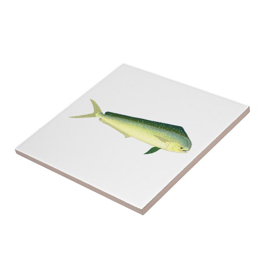 Mahi Mahi Fliese (Seite)