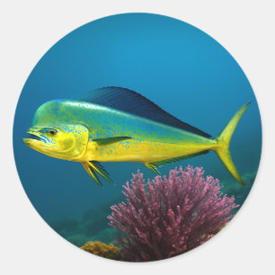 Mahi-Mahi Majesty Runder Aufkleber