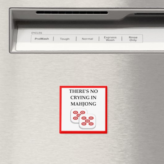 MAHJONG MAGNET (In Situ (Geschirrspüler))