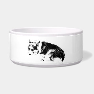 Mahlzeit Corgi, Entspannter Freund Napf