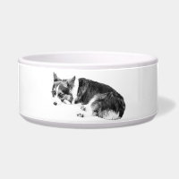 Mahlzeit Corgi, entspannter Freund