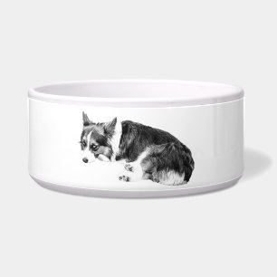 Mahlzeit Corgi, entspannter Freund Napf