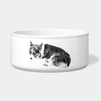 Mahlzeit Corgi, entspannter Freund Napf