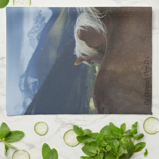 Mähnen u. GebirgsGeschirrtuch Geschirrtuch (Gefaltet)