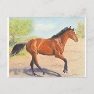 Mahogany Bay Horse Pastel Postkarte