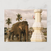 Mahout und Elephant Postkarte (Vorderseite)