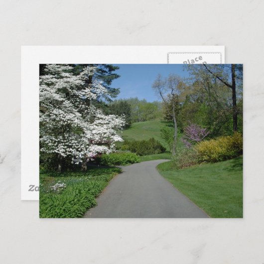 Mai Blume Postkarte (Vorne/Hinten)