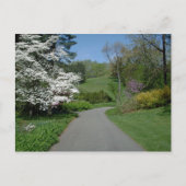 Mai Blume Postkarte (Vorderseite)