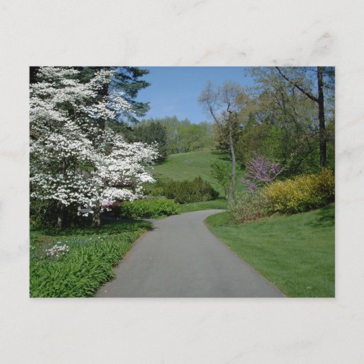 Mai Blume Postkarte (Vorderseite)