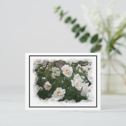 Mai Blume Postkarte (Stehend Vorderseite)