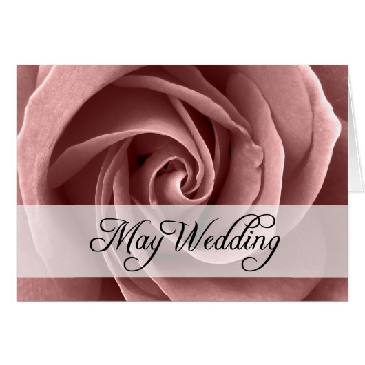 Mai Hochzeit : Rose der Saison: (Vorderseite (Horizontal))