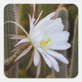 Mai im Garten Quadratischer Aufkleber