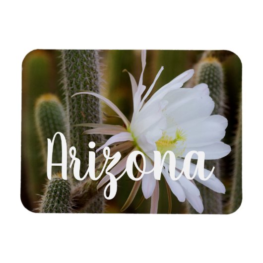 Mai in Arizona Magnet (Horizontal)